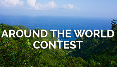 Vegan Around The World Contest