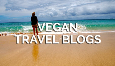 Vegan Travel Blogs
