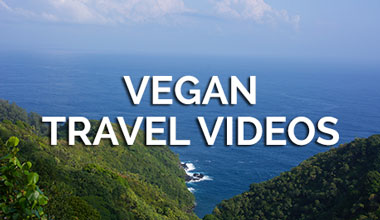 Vegan Travel Videos