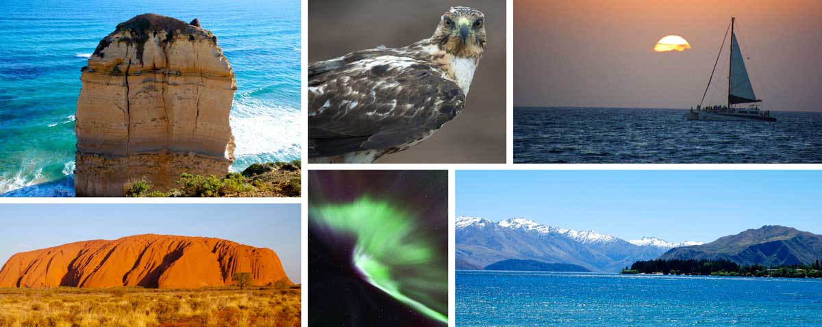 vegan travel-collage