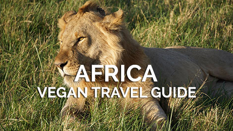 Africa Vegan Travel Guides