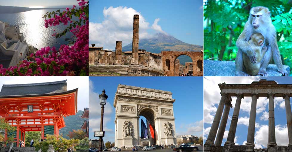 Vegan Around the World contest