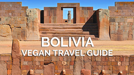 Bolivia Vegan Travel Blogs