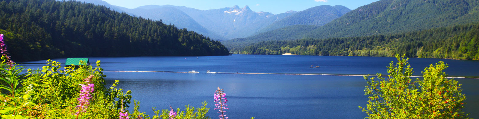 Canada Vegan Travel Guide Canada Vegan Travel Guide