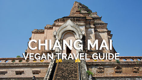 Chiang Mai Vegan Travel Guide