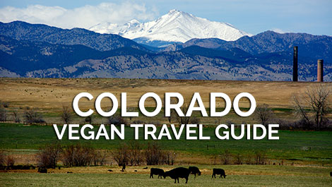 Colorado Vegan Travel Guide