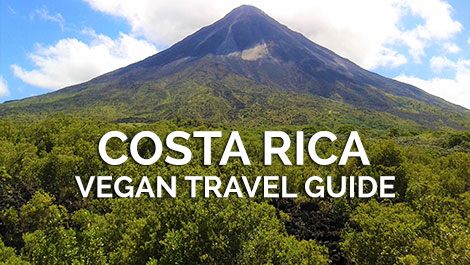 Costa Rica Vegan Travel Guide