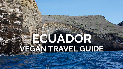 Ecuador Vegan Travel Guide