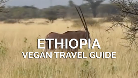 Ethiopia Vegan Travel Guide