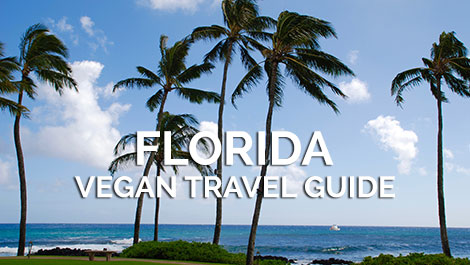 Florida Vegan Travel Guide