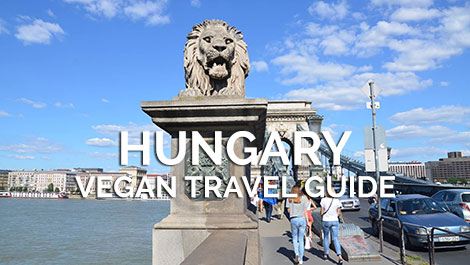 Hungary Vegan Travel Guide