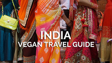 India Vegan Travel Guide