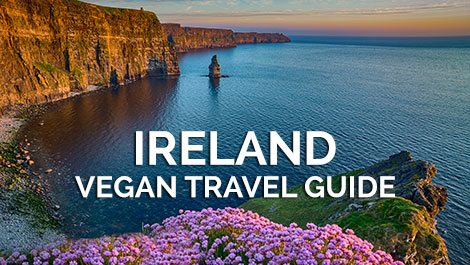 Ireland Vegan Travel Guide