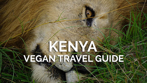 Kenya Vegan Travel Guide