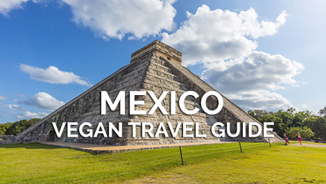 Mexico Vegan Travel Guide