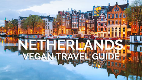 Netherlands Vegan Travel Guide