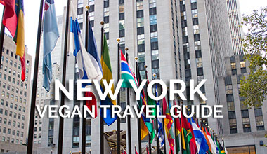 New York Vegan Travel Guide