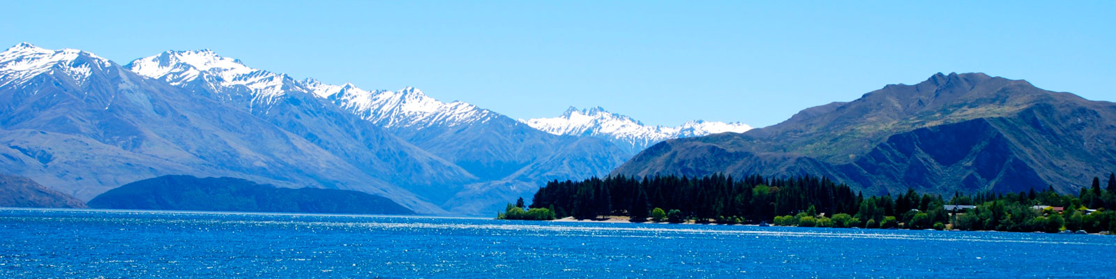New Zealand Vegan Travel Guide New Zealand Vegan Travel Guide