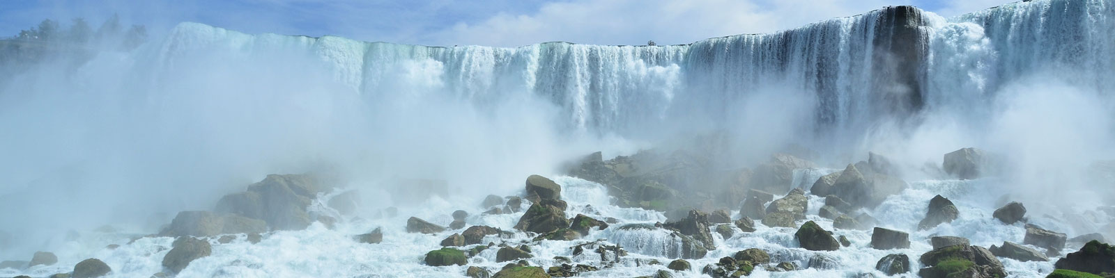 North American Vegan Travel Guide North American Vegan Travel Guide