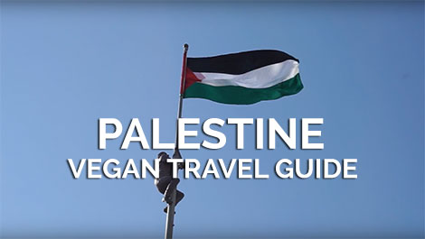 Palestine Vegan Travel Guide