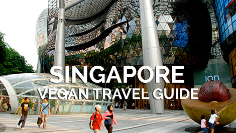 Singapore Vegan Travel Guide