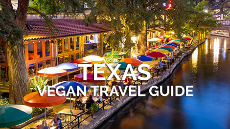 Texas Vegan Travel Guide