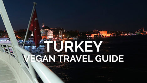 Turkey Vegan Travel Guide