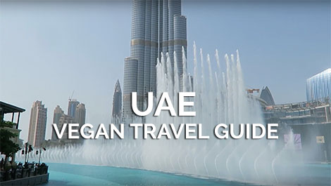 UAE Vegan Travel Guide