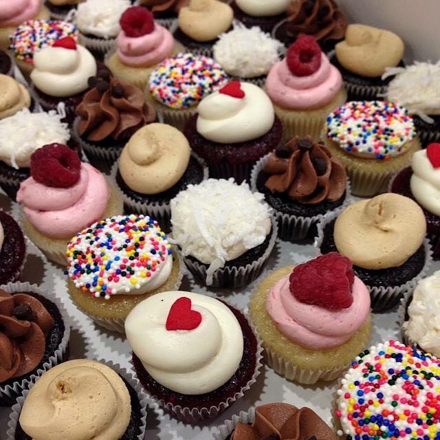 Two Birds Baking Co. Vegan Reviews Vegan Travel