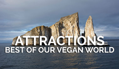 Best Attractions - Vegan Travel