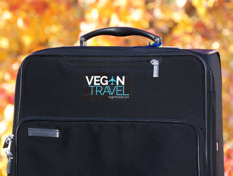 Vegan Travel Carryon Luggage