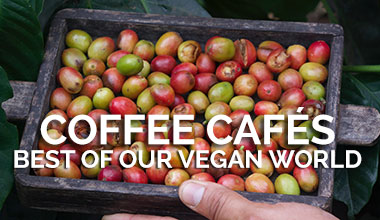 Best Vegan Cafes