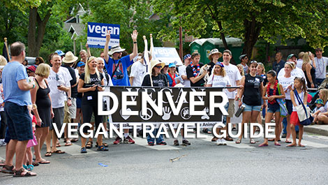 Denver Vegan Travel Guide