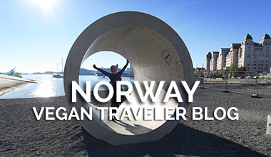 Norway Vegan Traveler Blog