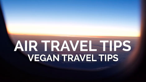 Vegan Air Travel Tips - Vegan Travel