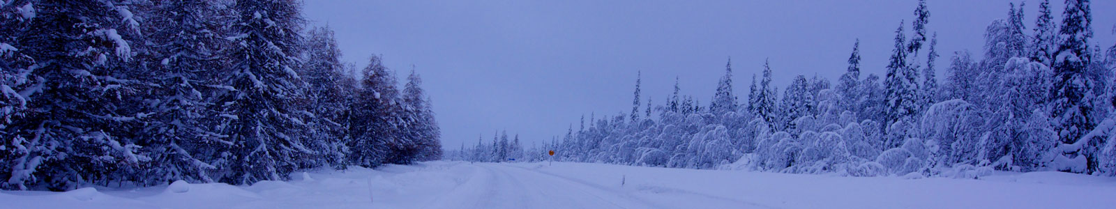 Finland Vegan Travel Guide