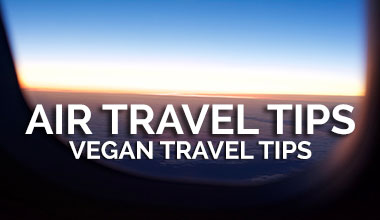 Vegan Air Travel Tips - Vegan Travel
