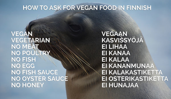 Vegan Travel Translations Finnish