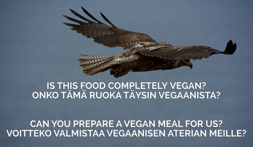 Vegan Travel Translations Finnish Phrases