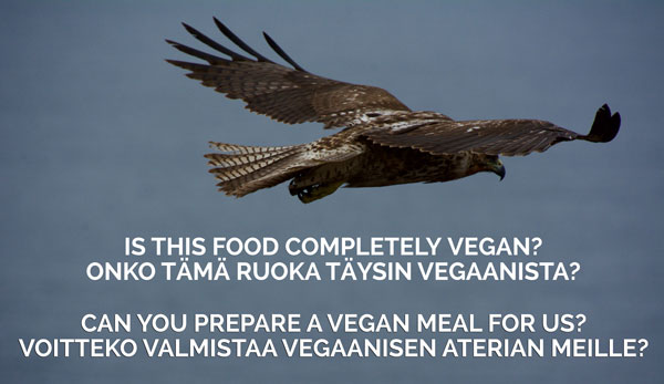 Vegan Travel Translations Finnish Phrases