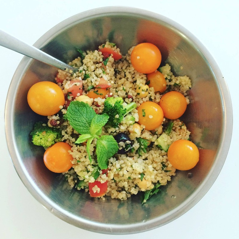 Canada Vegan Travel Guide Blogs & Reviews