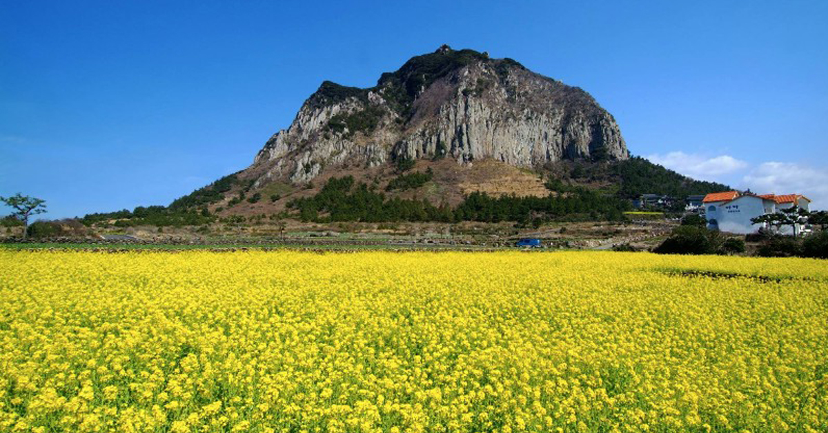 Hallasan National Park