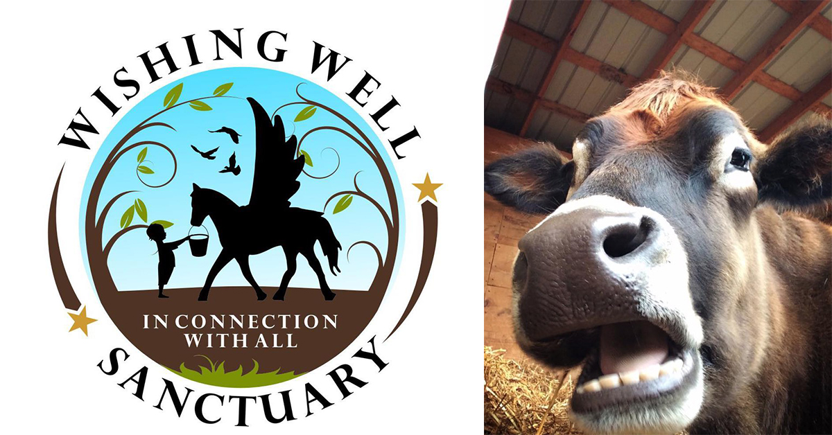 Wishing Well Sanctuary