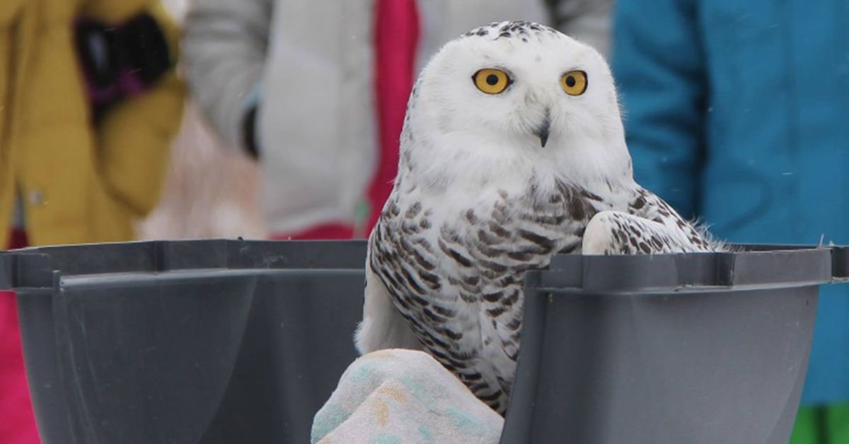 Wildlife Haven Rehabilitation Centre