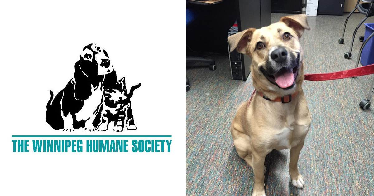 The Winnipeg Humane Society