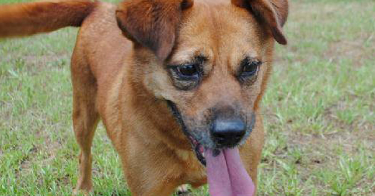 Big Sky Ranch Animal Sanctuary