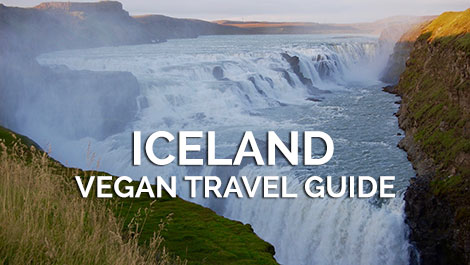 Iceland Vegan Travel Guide