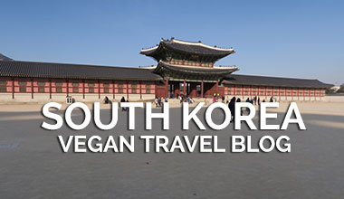 Vegan Travel Blog - South Korea