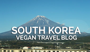 Vegan Traveler Blog - South Korea