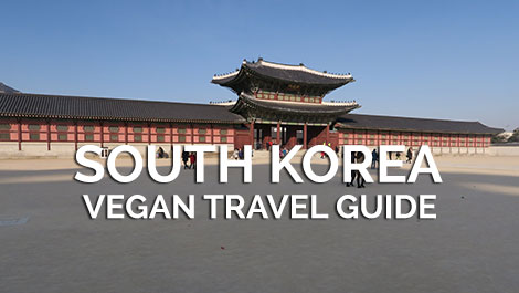 South Korea Vegan Travel Guide